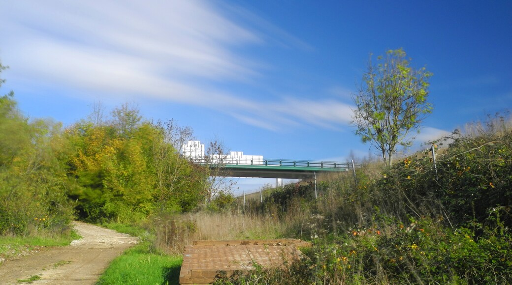 Photo "Dorans" by ComputerHotline (CC BY) / Cropped from original