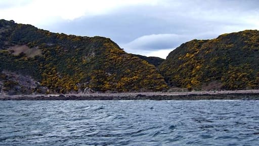 Nick R (CC BY-SA) 的「宣德偉克」相片 / 裁剪自原有相片