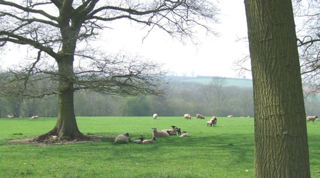 Billede "Romsley" af Roger Kidd (CC BY-SA) / beskåret fra det originale billede