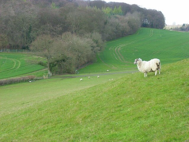 Photo "Piddington and Wheeler End" by Andrew Smith (CC BY-SA) / Cropped from original