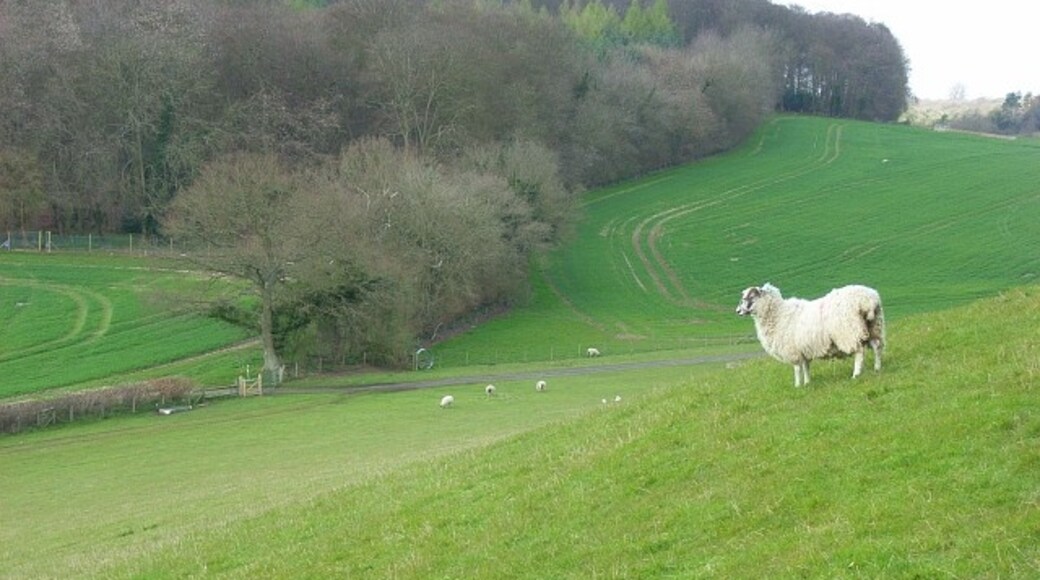 "Piddington and Wheeler End"-foto av Andrew Smith (CC BY-SA) / Urklipp från original
