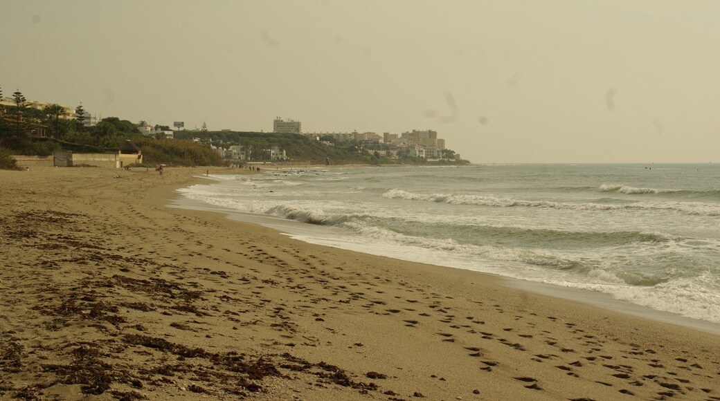 Foto ‘Playa de Calahonda’ van Concepcion AMAT ORTA… (CC BY) / bijgesneden versie van origineel