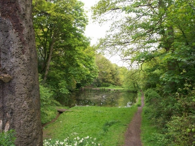 Birley Spa Boating Lake This boating and fishing lake was an early twentieth century addition to the Victorian Bath House and it is fed from an underground spring beneath the building.