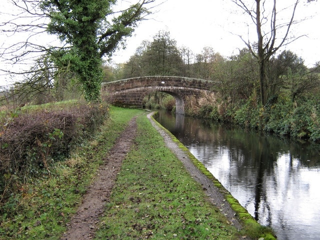 Bridge 41, Spring's Bridge. This is Bridge 41, also known as Spring's Bridge, on the Caldon Canal. The number 41 refers to it being the 41st bridge from the junction of the Trent and Mersey Canal. For a view of the other side of this bridge see Roger Kidd's 589999