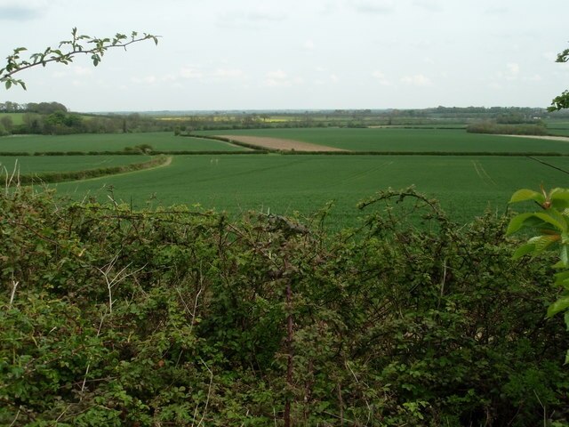 Foto „Glatton“ von Michael Trolove (CC BY-SA)/zugeschnittenes Original