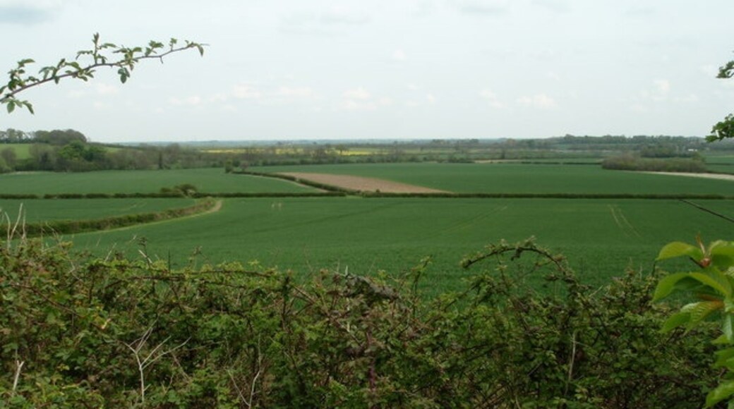 Foto „Glatton“ von Michael Trolove (CC BY-SA)/zugeschnittenes Original