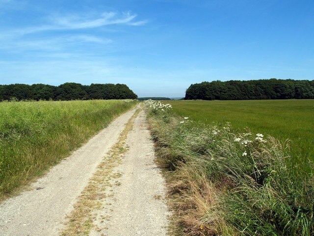 Ảnh "Làng Saxby All Saints" của David Wright (CC BY-SA) / Cắt từ ảnh gốc