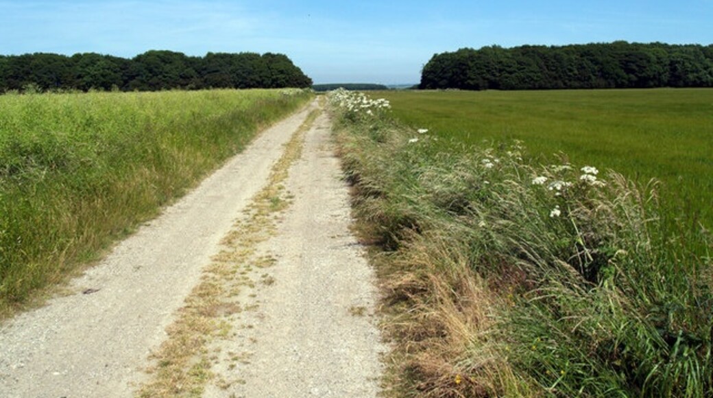 Ảnh "Làng Saxby All Saints" của David Wright (CC BY-SA) / Cắt từ ảnh gốc