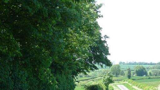 Ảnh "Westbury" của Snidge (CC BY-SA) / Cắt từ ảnh gốc