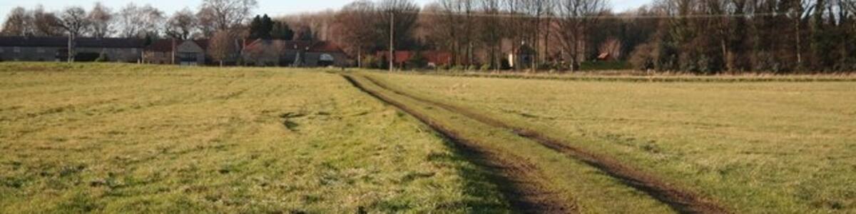 Photo "Field by Carlton Hall Farm, Carlton-in-Lindrick, Nottinghamshire" by Richard Croft (Creative Commons Attribution-Share Alike 2.0) / Cropped from original