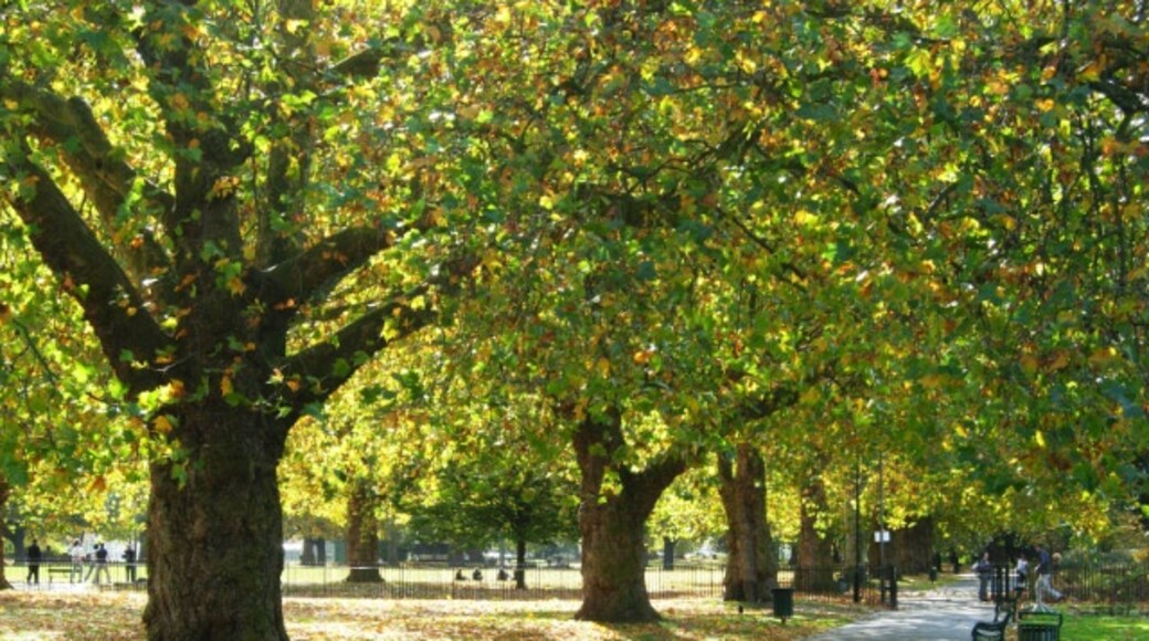 « Kennington Park », photo par Stephen McKay (CC BY-SA)/rognée de l’originale