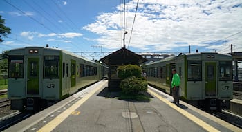 JR East KiHa 110 series DMUs on Koumi Line services at Kobuchizawa Station in Hokuto, [Yamanashi Prefecture, Japan