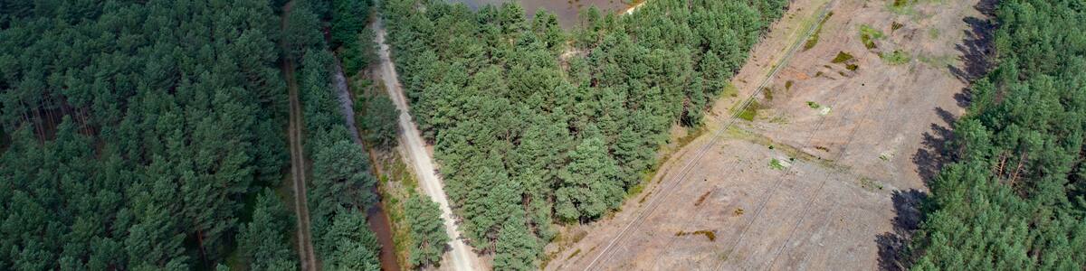 Photo "Anlandebecken Ost (between Spreewitz and Neustadt (Spree), Saxony, Germany)" by PaulT (Creative Commons Attribution-Share Alike 4.0) / Cropped from original