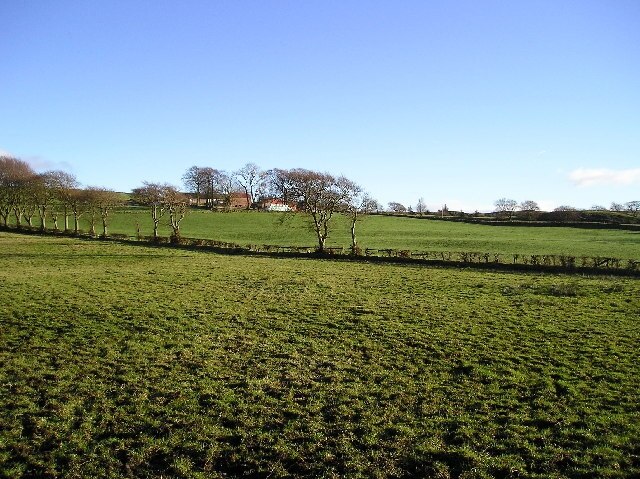 Winter Sunshine. South Muirdykes farm with the winter sunshine creating shadows in every hoofprint made in the field in the foreground.This picture was taken at around 1345 hrs.