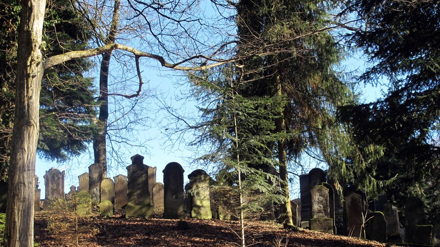Photo "Jüdischer Friedhof für Altenstadt und Illereichen" by Richard Mayer (Creative Commons Attribution 3.0) / Cropped from original