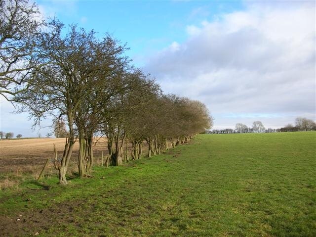 Foto “Holtby” tomada por DS Pugh (CC BY-SA); recorte de la original