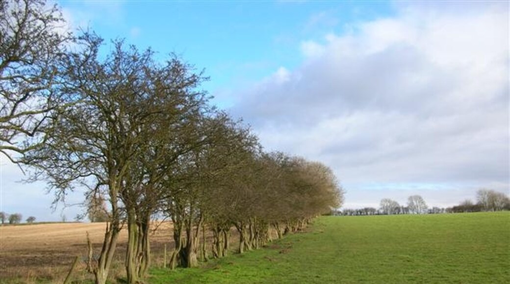 Foto “Holtby” tomada por DS Pugh (CC BY-SA); recorte de la original