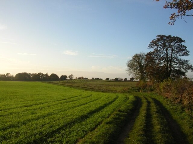 Photo "Gate Helmsley" by DS Pugh (CC BY-SA) / Cropped from original