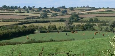 Foto „Bringhurst“ von Mat Fascione (CC BY-SA)/zugeschnittenes Original