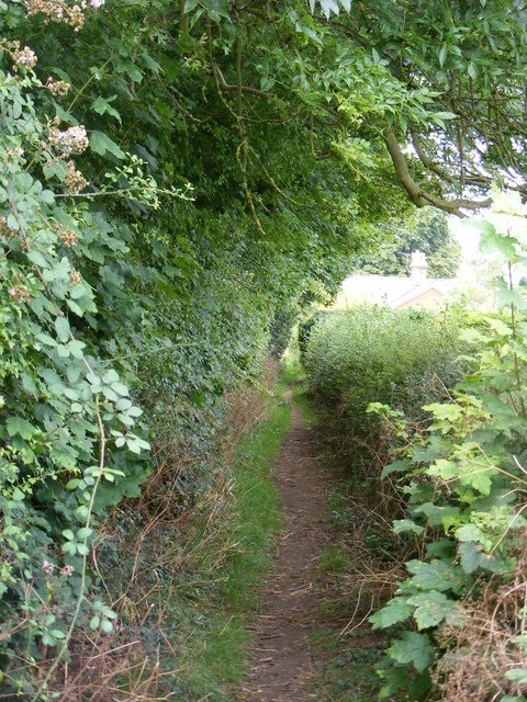 The Icknield Way As it enters Cheveley from Ashley.