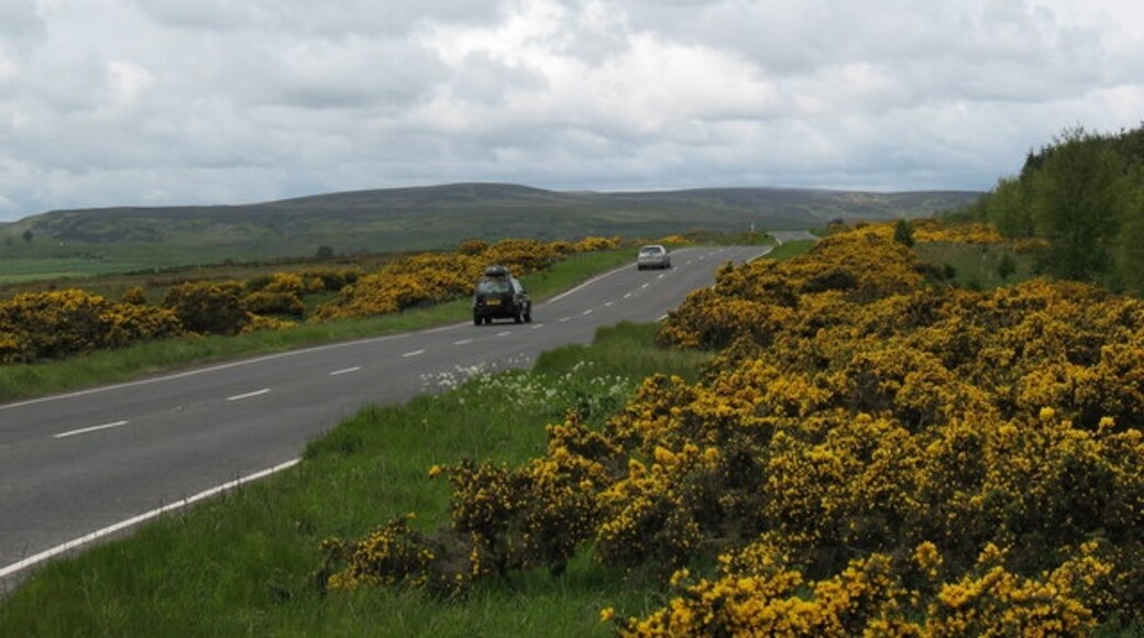 Photo "Barden" by Gordon Hatton (CC BY-SA) / Cropped from original