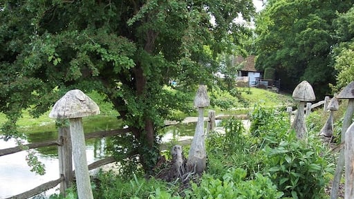 Photo "Winterborne Zelston" by Trish Steel (CC BY-SA) / Cropped from original