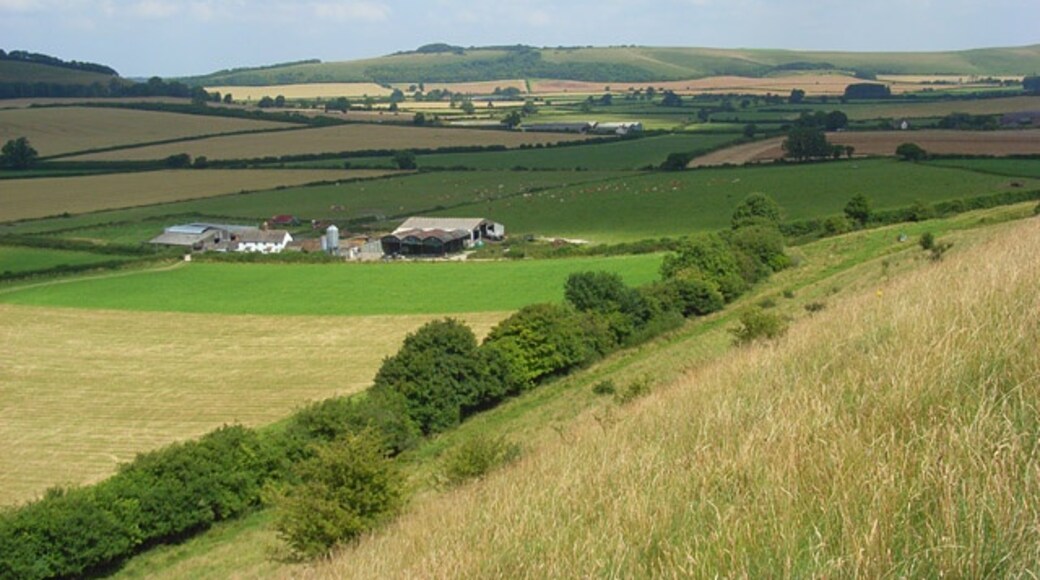 Foto "Kilmington" por Andrew Smith (CC BY-SA) / Recortada de la original