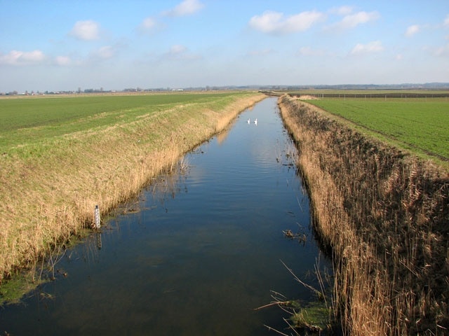 View across Bardolph Fen This view was taken looking in northeasterly direction from High Bridge which takes Highbridge Road over Common Lode, a drain traversing Bardolph Fen.