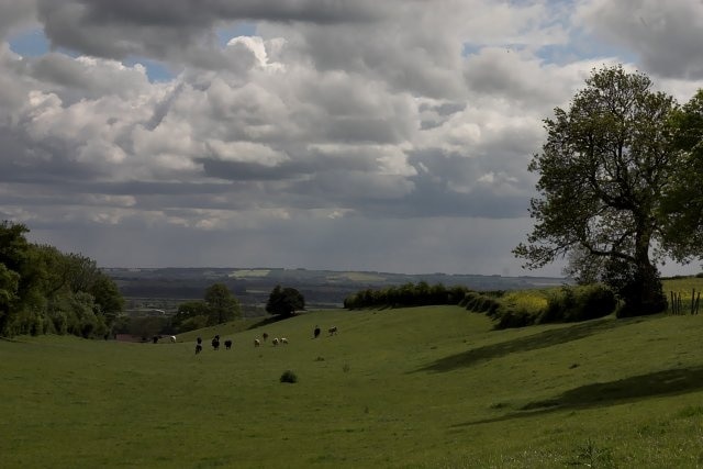 Photo "Aislaby" by colin grice (CC BY-SA) / Cropped from original