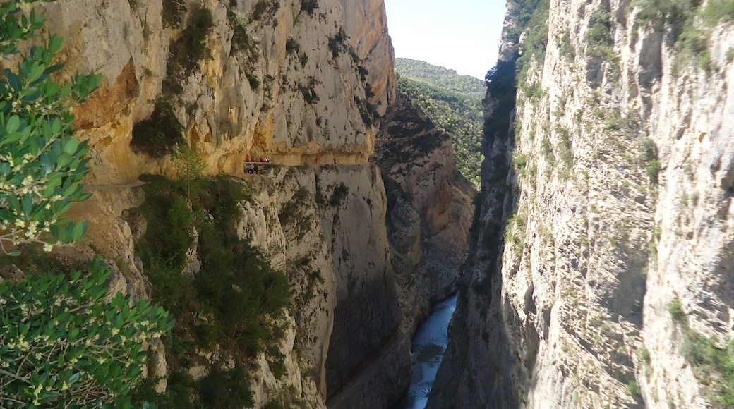 Photo "Mont Rebei Gorge" by Sílvia Martín (CC BY) / Cropped from original