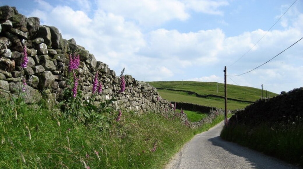 Foto “Rylstone” tomada por Chris Heaton (CC BY-SA); recorte de la original