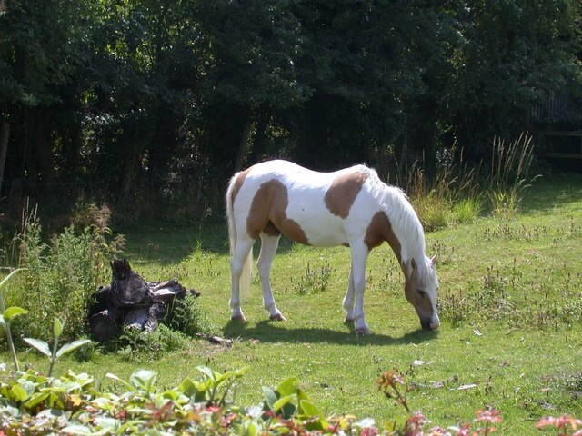 Photo "Great Eversden" by Keith Edkins (CC BY-SA) / Cropped from original