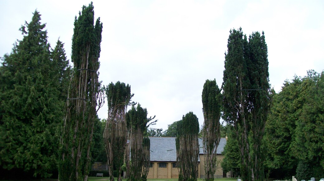 Photo "Preston" by AnemoneProjectors (CC BY-SA) / Cropped from original