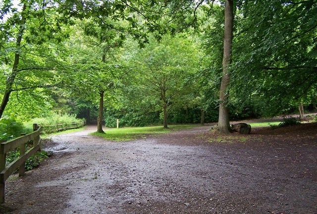 Holly Hill woodland park The woodland was purchased by Fareham Borough Council in 1954. The park consists of some unique landscape features having developed since the 1870s with the planting of specimen trees around the lake area, some of which are still present in the park today. The lake is out of shot behind the fence on the left of this picture. Website: http://www.fareham.gov.uk/discover_local_area/visiting/where_to_visit/hollyhill.aspx .