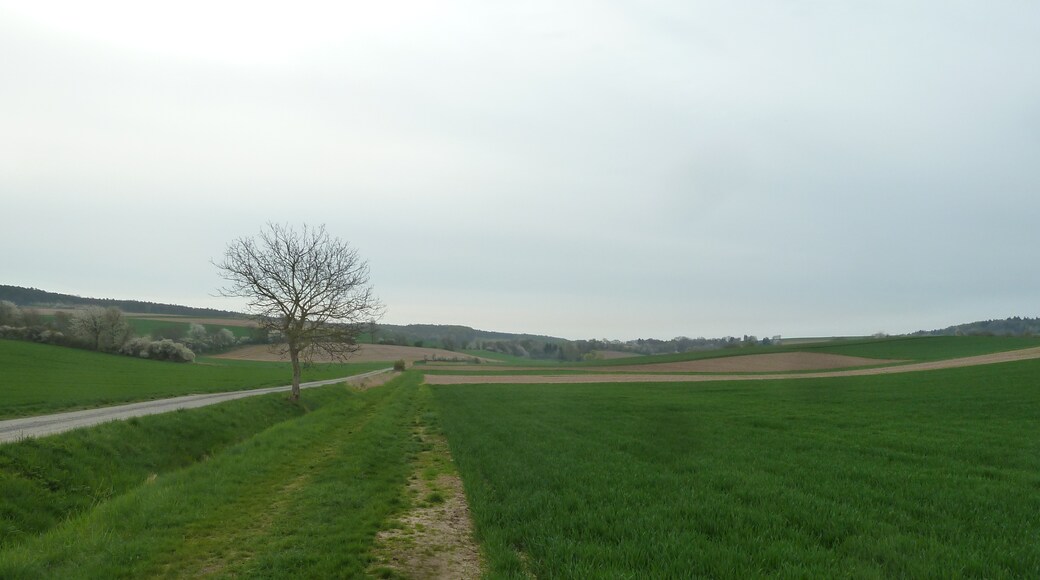 Photo "Wenigumstadt" by JehnW (CC BY-SA) / Cropped from original