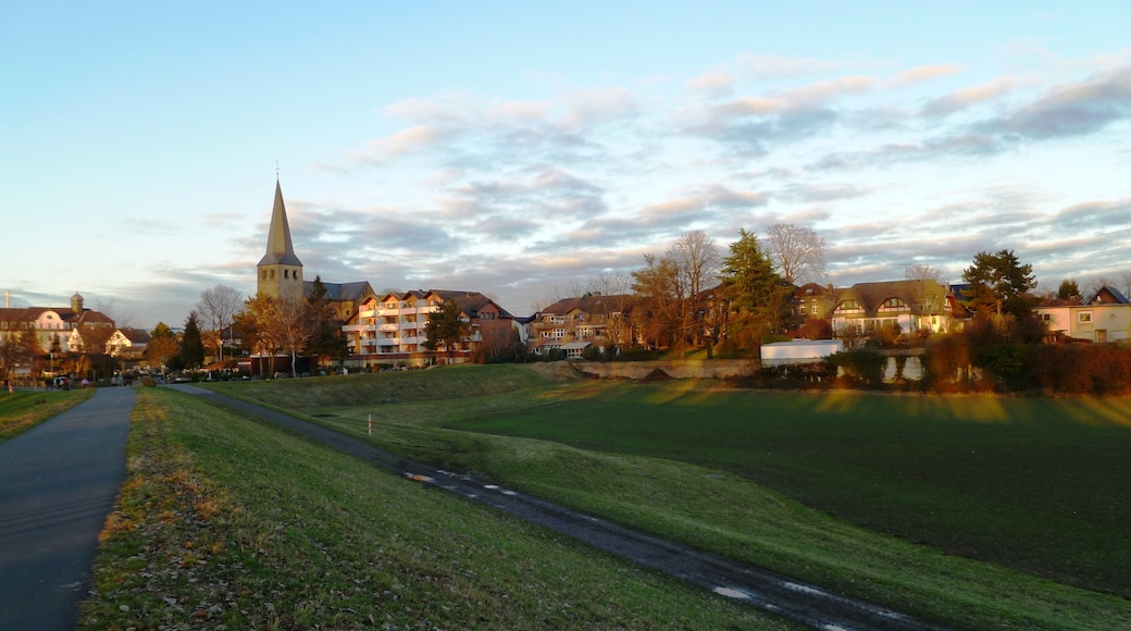 Photo "Niederkassel" by aachim3 (CC BY) / Cropped from original