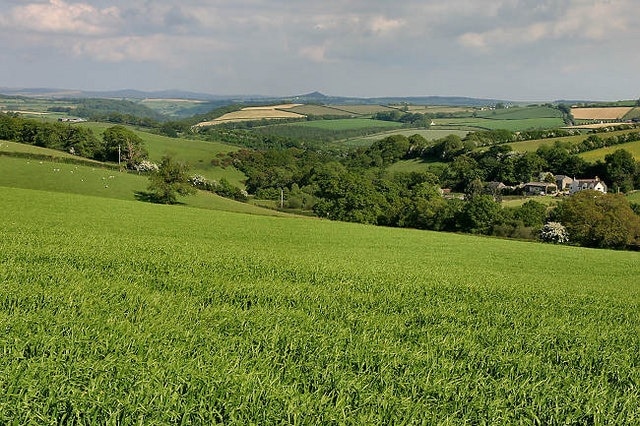 Countryside north of Lifton