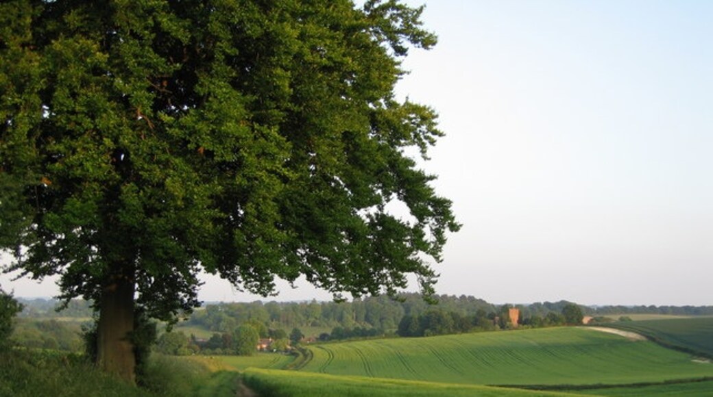 "Tichborne"-foto av Matthew Peters (CC BY-SA) / Urklipp från original