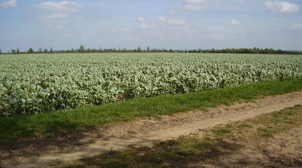 Photo "Brant Broughton and Stragglethorpe" by Ken Brockway (CC BY-SA) / Cropped from original