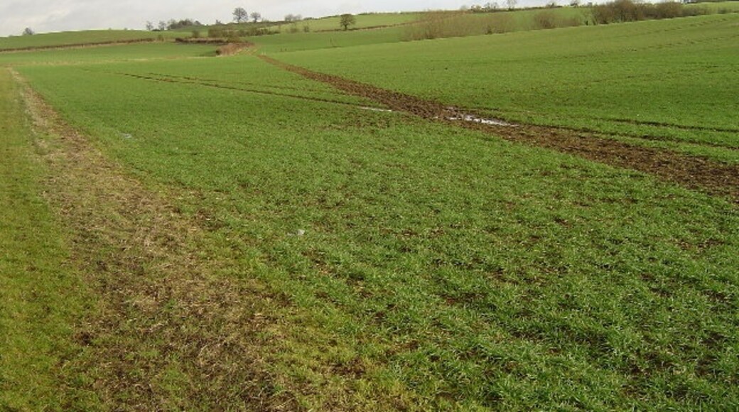 "King's Sutton"-foto av Julian Dowse (CC BY-SA) / Urklipp från original