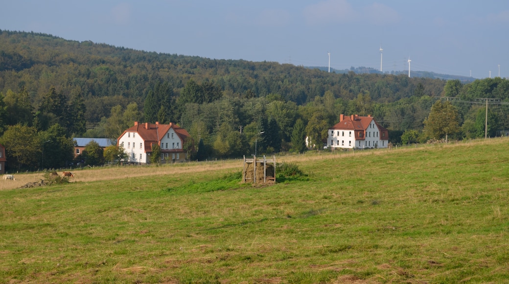 Höhn, Wohnsiedlung beim ehemaligen Kraftwerk