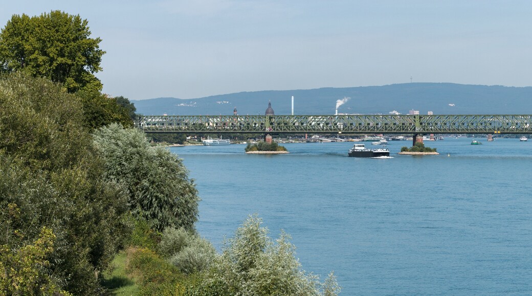 Weisenau, Mainz, Rhineland-Palatinate, Germany