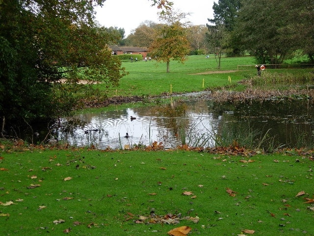 Golf course pond. Nice bit of habitat, golf course adds to the list of urban fringe land uses