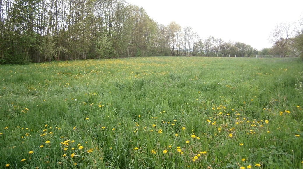 Foto "Reuth" oleh Vámos Sándor (CC BY-SA) / Dipotong dari foto asli