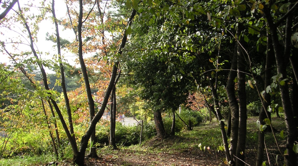 Foto “Taman Hattori Ryokuchi” oleh yokoyokoi (CC BY) / Dipangkas daripada yang asal