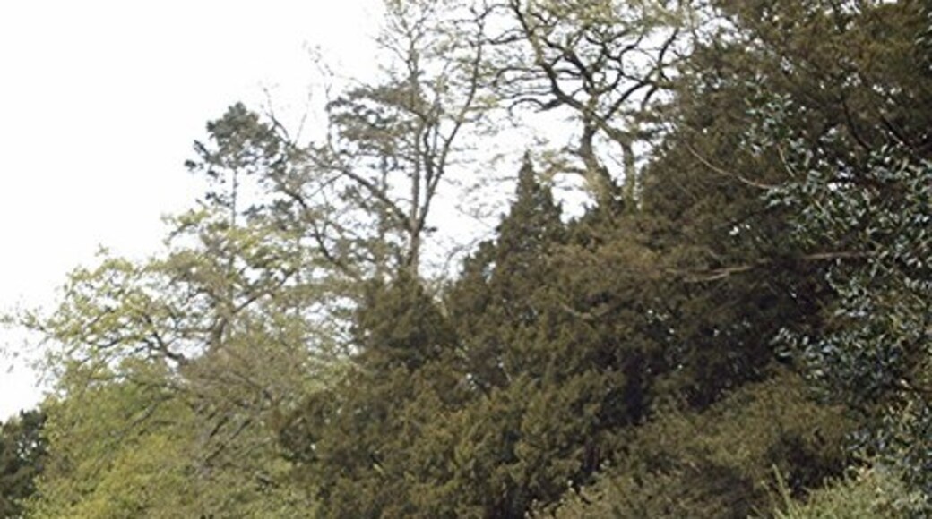 Foto "Langham" de John Myers (CC BY-SA) / Recortada do original