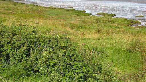 Photo "Bowness-on-Solway" by Oliver Dixon (CC BY-SA) / Cropped from original