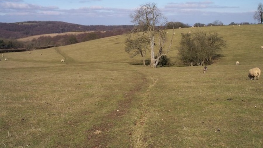 Photo "Spring in Ebworth Pasture. Looking north over the National Trust fields near Ebworth House along the footpath to Overton Farm. In the middle of the field there is a tree lined spring - the start of a stream which soon disappears beneath the cotswold landscape." by Bob Embleton (Creative Commons Attribution-Share Alike 2.0) / Cropped from original