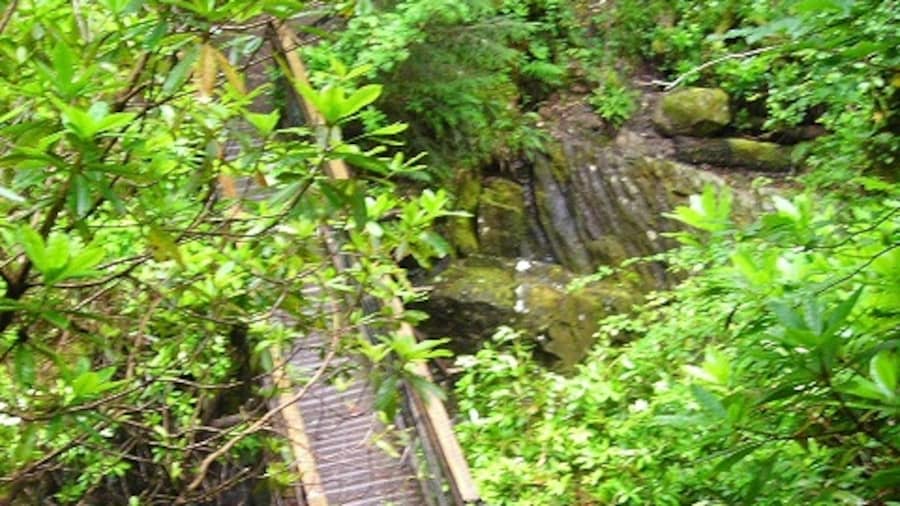 Photo "Footbridge Over Abhainn Teithil Gorge The footbridge over Abhainn Teithil gorge is situated at the bottom of steps cut out of the wall of the gorge" by Iain Thompson (Creative Commons Attribution-Share Alike 2.0) / Cropped from original