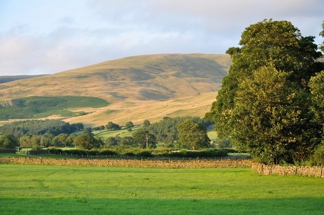 Barbon fields View across fields, looking East from the road.